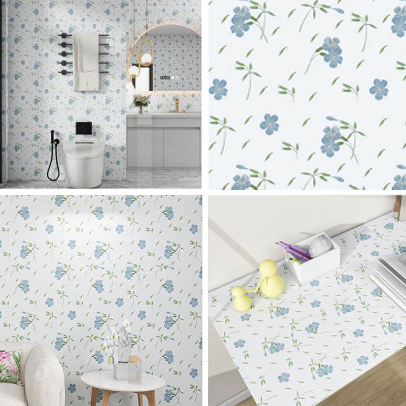  CS-24002 Серия виниловых пленок для печати